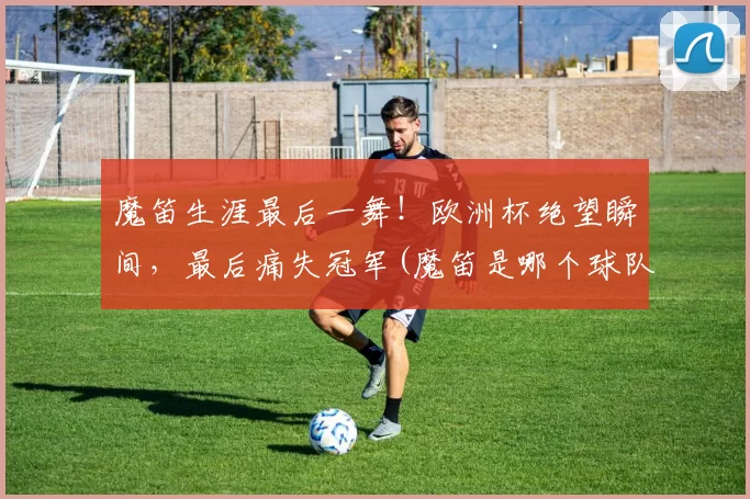 魔笛生涯最后一舞！欧洲杯绝望瞬间，最后痛失冠军(魔笛是哪个球队)