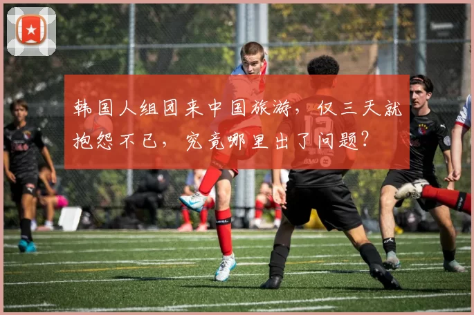 韩国人组团来中国旅游，仅三天就抱怨不已，究竟哪里出了问题？