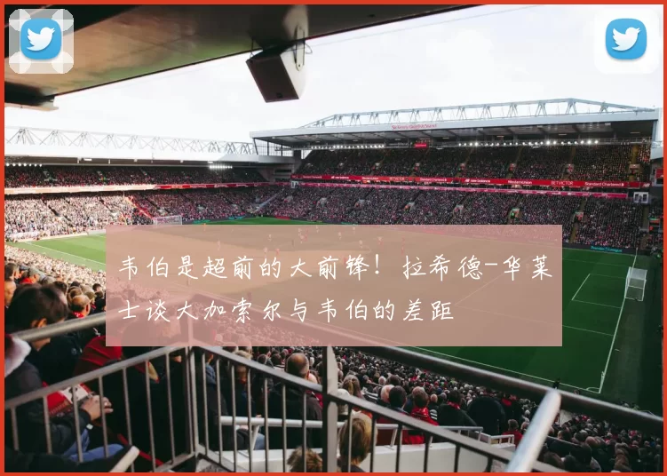韦伯是超前的大前锋！拉希德-华莱士谈大加索尔与韦伯的差距